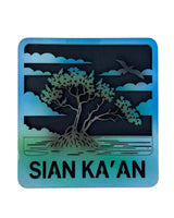 Sian Ka'an Magneto