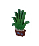Maguey Chico