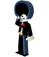 Mariachi Cantante