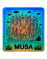 Musa Cancún Magneto