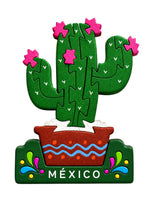 Saguaro Magneto