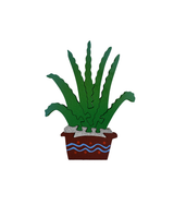 Maguey Chico