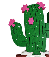 Saguaro Chico