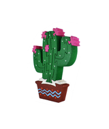 Saguaro Chico